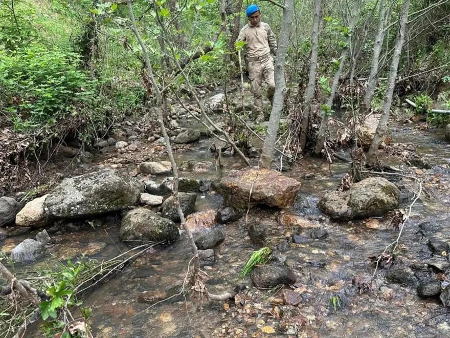 NE OLMUŞTU? 6 NE OLMUŞTU? 6