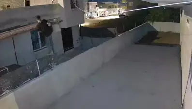 Yavuz hırsızdan pişkin savunma: "Bana benziyor ama ben değilim"