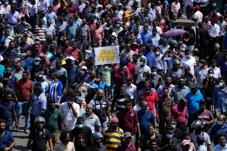 Sri Lanka'da ekonomik kriz: 100 bin makak maymununu satıyor 