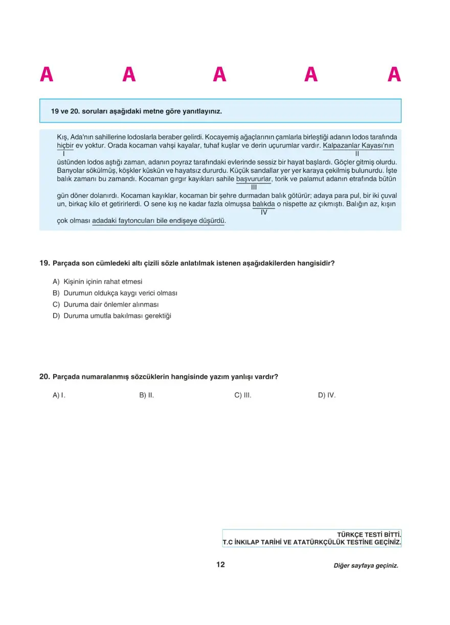 LGS deneme sınavı - Sözel bölüm 11