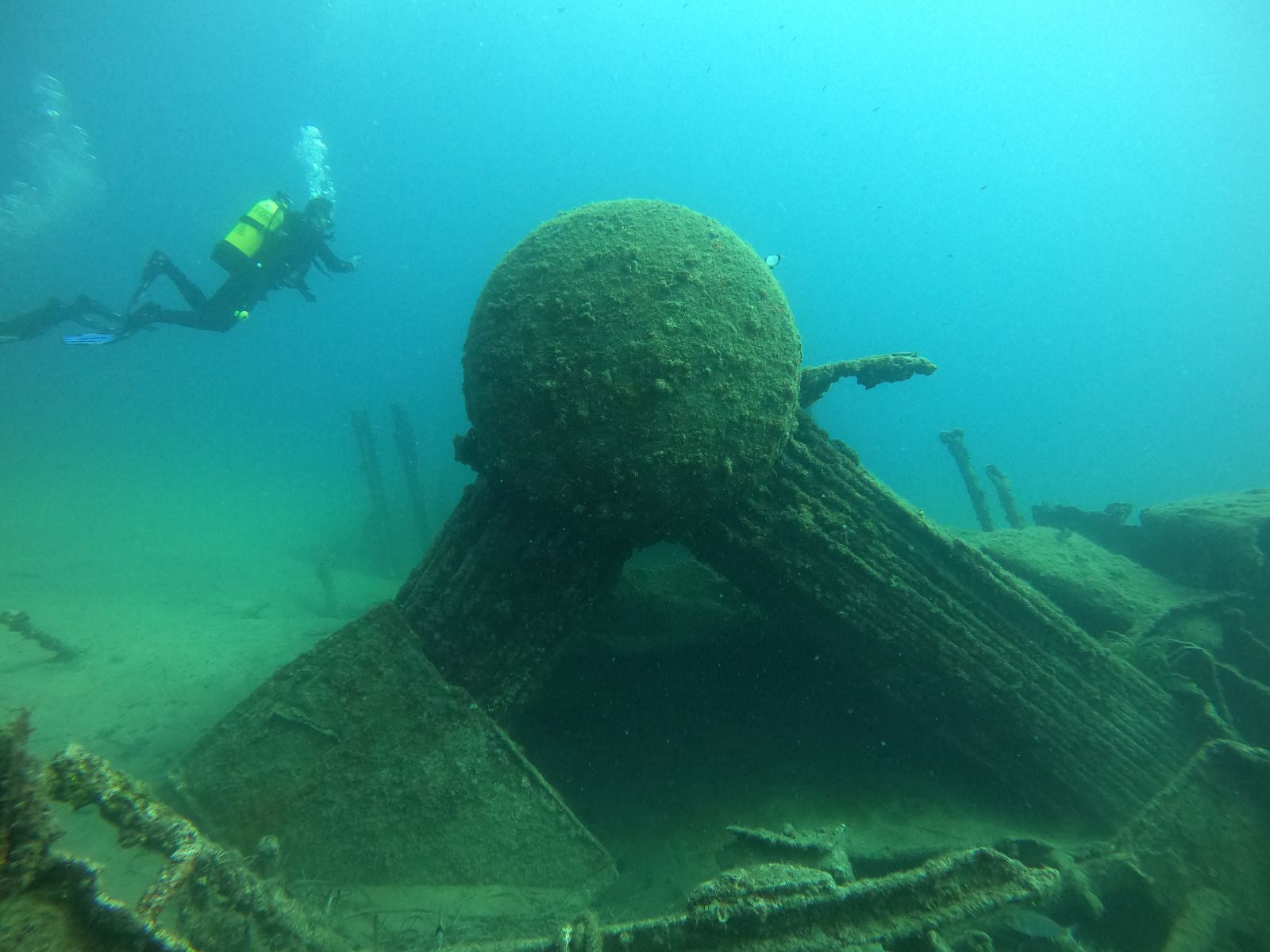 Gelibolu Tarihi Sualtı Parkı dalış turizmine açılıyor