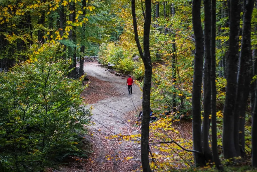 Doğa ve fotoğraf tutkunları, sonbahar renklerine bürünen Domaniç'te buluştu 2