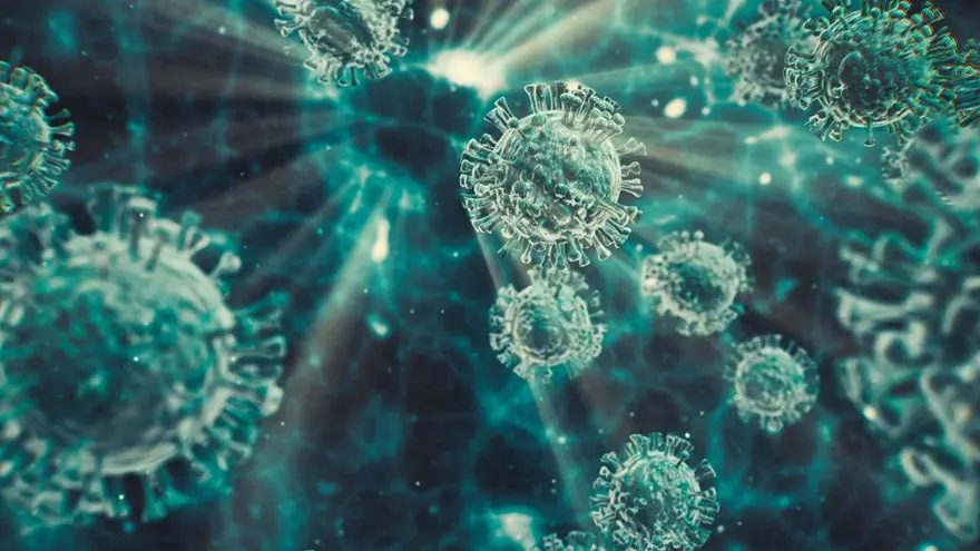 ABD'DE 80 MİLYON SEÇMEN POSTAYLA OY KULLANDI 14