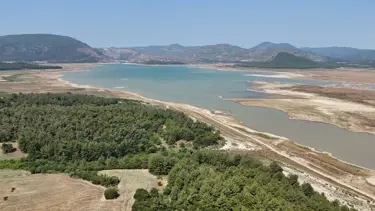 İzmir'de tehlike çanları: Geçen yıla göre yüzde 50 düşüş var