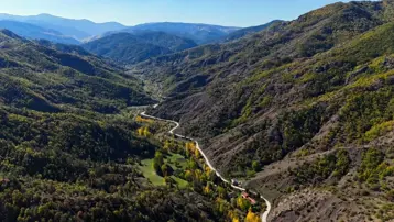 Kastamonu ormanlarında renk cümbüşü yaşanıyor