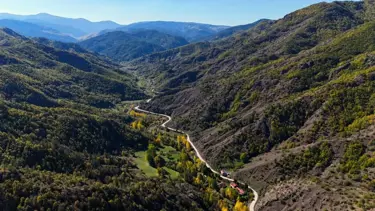 Kastamonu ormanlarında renk cümbüşü yaşanıyor