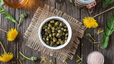 Kaparinin faydaları nelerdir, kapari nasıl tüketilir?