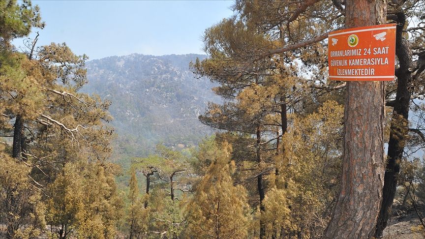 Muğla'da ormanlara giriş yasağı