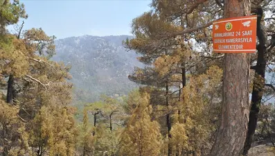 Muğla'da ormanlara giriş yasağı