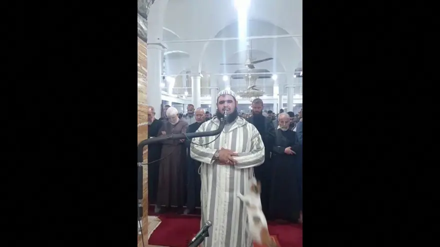 Teravih namazı kıldıran imamın kedi şefkati viral oldu 1