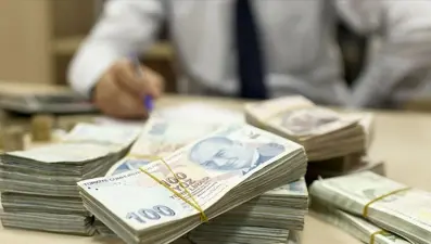 Güncel mevduat faizi oranları 2024: Hangi banka aylık ne kadar, yüzde kaç faiz veriyor? (Aylık yüzde 56 faiz fırsatı)