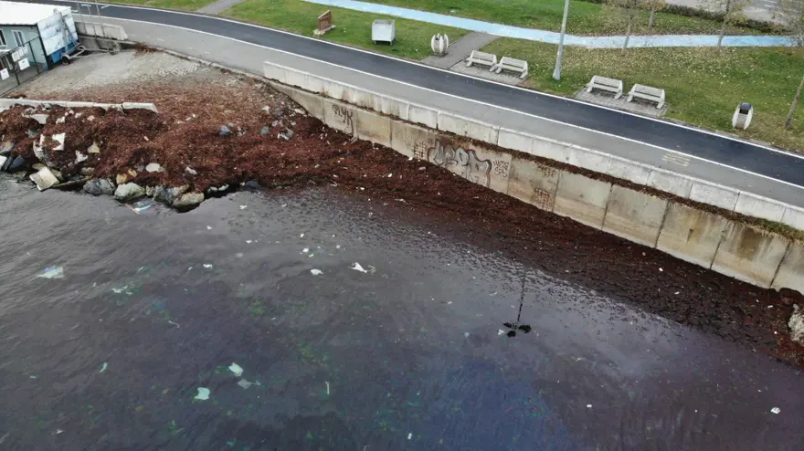 Caddebostan sahili kızıla boyandı 1