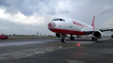 Doludan burnu hasar gören uçağın kaptan pilotu o anları anlattı