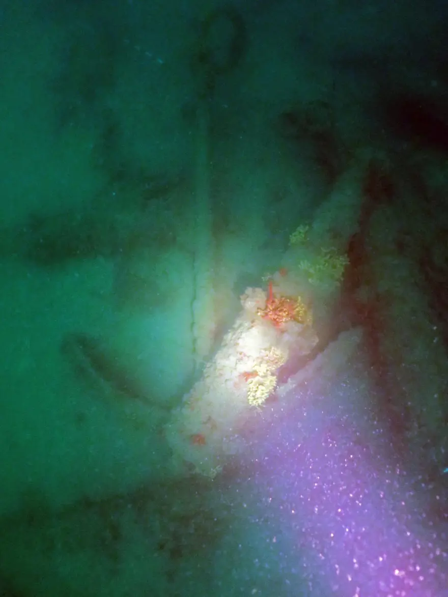 Foça açıklarında savaş gemisi batığı bulundu 1