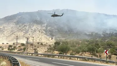 Mardin'de orman yangını: Rüzgarın etkisiyle yayıldı