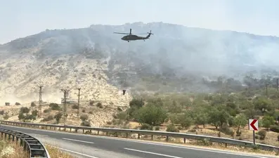 Mardin'de orman yangını: Rüzgarın etkisiyle yayıldı