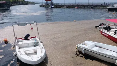 Karamürsel sahili müsilajla kaplandı