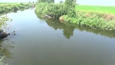 Gönen Çayı, atıklar nedeniyle siyaha büründü