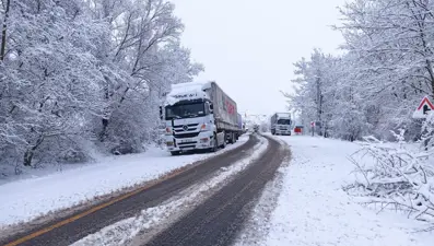 Sınırda kar bastırdı, TIR’lar yolda kaldı