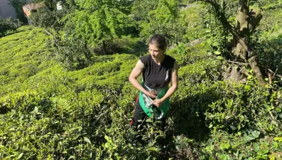 Çay bahçesinden Dünya Şampiyonası'na: Artvinli Nisa Gül'ün hedefi Japonya
