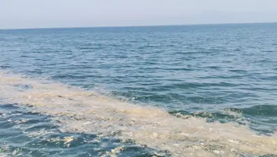Müsilaj Mudanya sahilinde de yoğunlaştı
