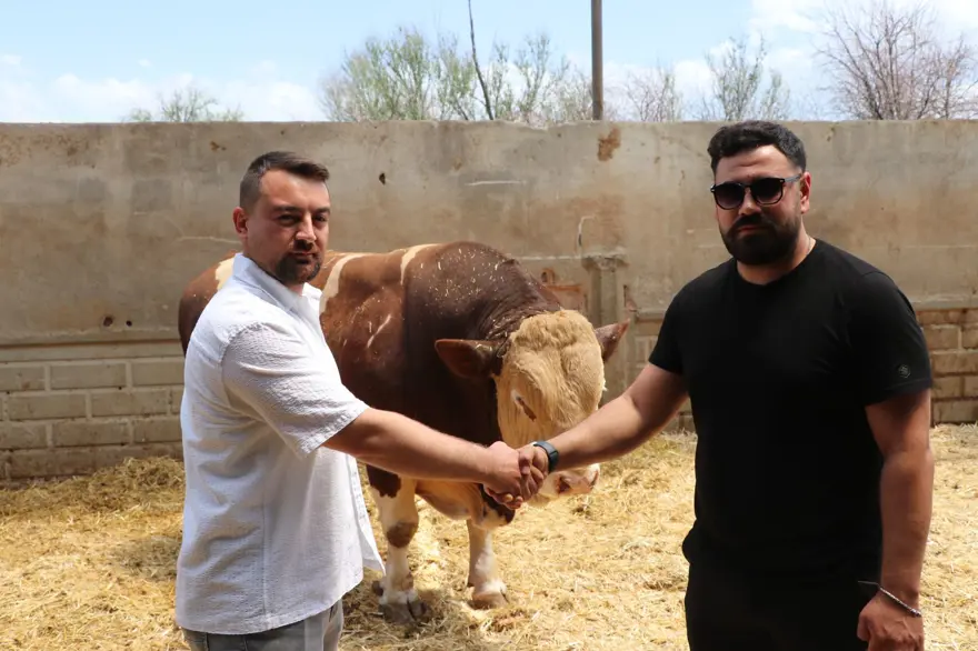 "POYRAZI'I 540 BİN TL'YE SATTIK" 3 "POYRAZI'I 540 BİN TL'YE SATTIK" 3