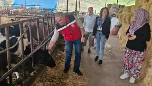 Kendi işletmesini kurdu: 25 büyükbaş hayvanla başladı