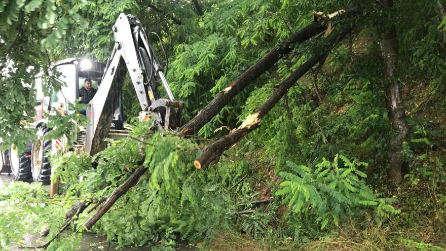 Karadeniz'i sel vurdu: Dereler taştı, yollar göle döndü, evleri su bastı 52 Karadeniz'i sel vurdu: Dereler taştı, yollar göle döndü, evleri su bastı 52