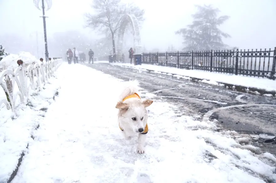 İstanbul'a 30 cm kar... Okullar tatil olabilir | Kandilli: Her yerde kar topu oynanacak 1
