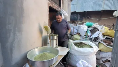 Bağışıklık güçlendirici etkisi var: Erzincanlılar binbir zahmetle topluyor