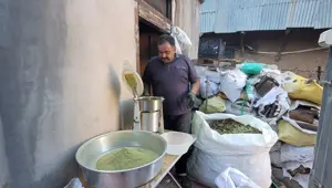 Bağışıklık güçlendirici etkisi var: Erzincanlılar binbir zahmetle topluyor