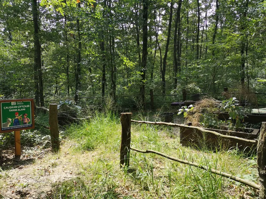 İstanbul çevresindeki en iyi kamp alanları 14 İstanbul çevresindeki en iyi kamp alanları 14