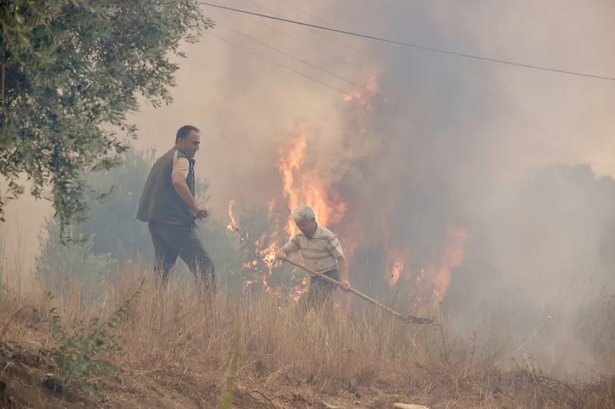Antalya Manavgat'ta orman yangını 