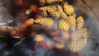 Sigara içenlere doğal çözüm: 7 saat kazanda kaynıyor, öksürüğü bitiriyor