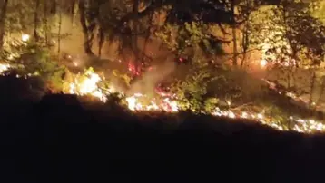 Yığılca yangını 2 saatte kontrol altında