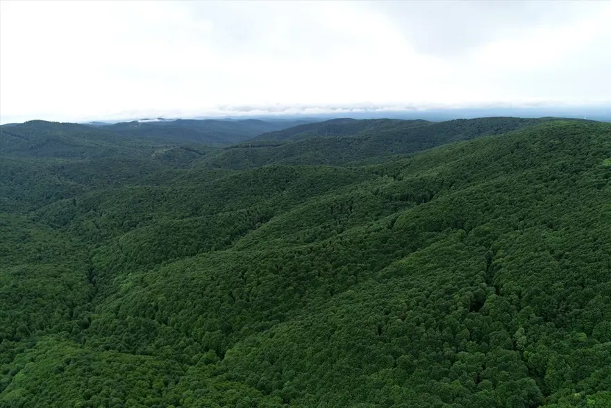 Trakya'nın saklı cenneti 'İğneada' ziyaretçilerini bekliyor: Üstelik İstanbul'a 3 saat uzaklıkta 21