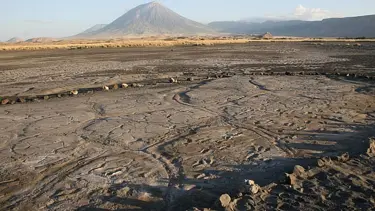 Cinsiyetler arası iş bölümü 19 bin yıl öncesine dayanıyor