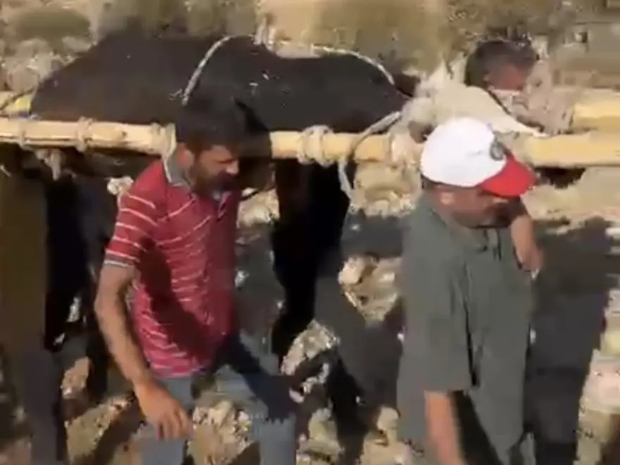 500 kiloluk ineğin ayağı kırıldı: 2 kilometre taşıdılar 6 500 kiloluk ineğin ayağı kırıldı: 2 kilometre taşıdılar 6