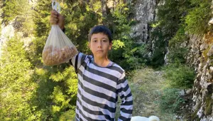 Doğadan toplayıp 5 bin liradan satıyor: "Maden buldum!" diyerek paylaştı