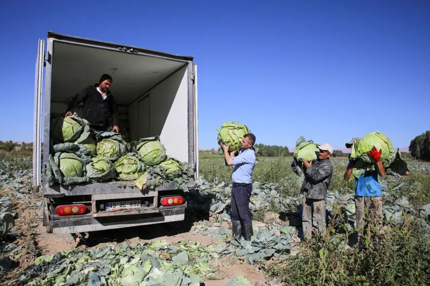 BÖLGE HALKININ MİRASI 5