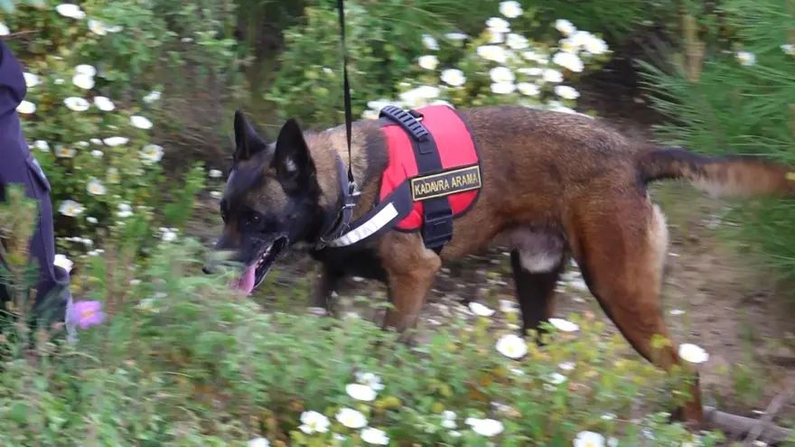 Korhan Berzeg'i arama çalışmalarında yeni bulgu 2 Korhan Berzeg'i arama çalışmalarında yeni bulgu 2