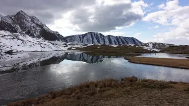 Artvin'de safari tutkunlarının gözdesi: Arsiyan Yaylası
