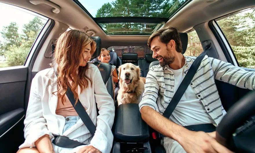 Köpekleri benzersiz burun izlerinden tanıyabilen mobil uygulama geliştirildi 8 Köpekleri benzersiz burun izlerinden tanıyabilen mobil uygulama geliştirildi 8