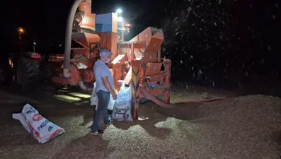 Bölgenin en önemli geçim kaynağı: Hasat bitti, nöbet başladı