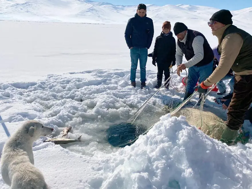 Çıldır Gölünde Eskimo usulü balık avlıyorlar 7