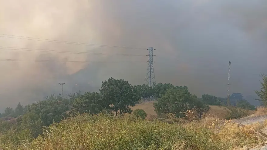Çanakkale'de orman yangını kontrol altında 69
