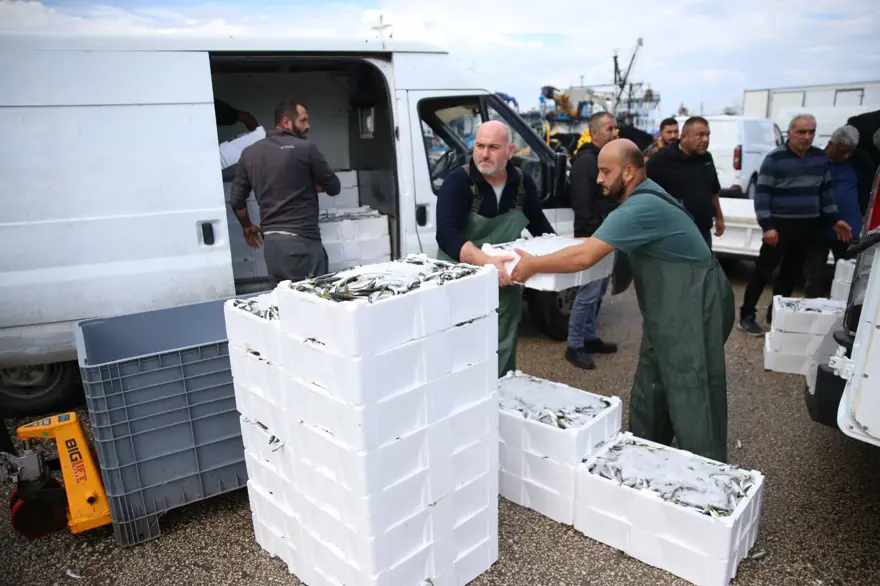 Balıkçıların yüzünü güldürdü: Tezgahta kilosu 150 lira 5 Balıkçıların yüzünü güldürdü: Tezgahta kilosu 150 lira 5