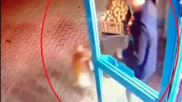 Markete girmesin diye kediyi tekmeleyip dışarı attı