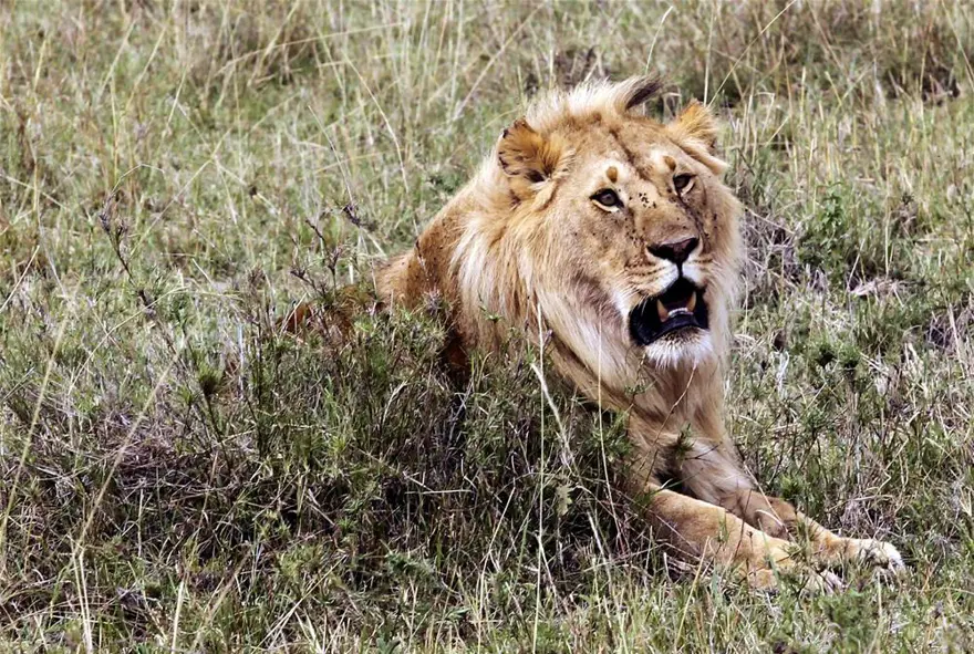 'Doğanın gözyaşı' 5