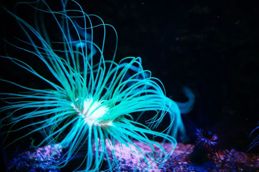 GELECEK NESİLLER İÇİN KORUNACAK 7 GELECEK NESİLLER İÇİN KORUNACAK 7